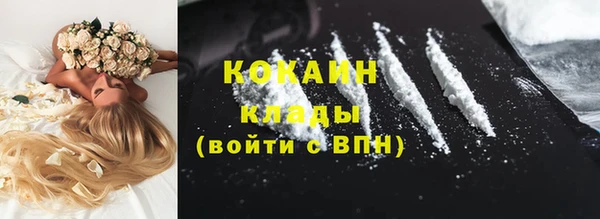 крисы Арсеньев