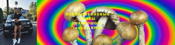 крисы Арсеньев