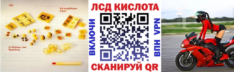 mega ссылки  Новая Ляля  ЛСД экстази ecstasy  сколько стоит 