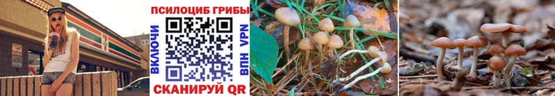 Псилоцибиновые грибы GOLDEN TEACHER  Новая Ляля 